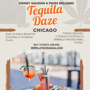 Tequila Daze Rooftop Cocktail and Appetizer - 2 Tickets